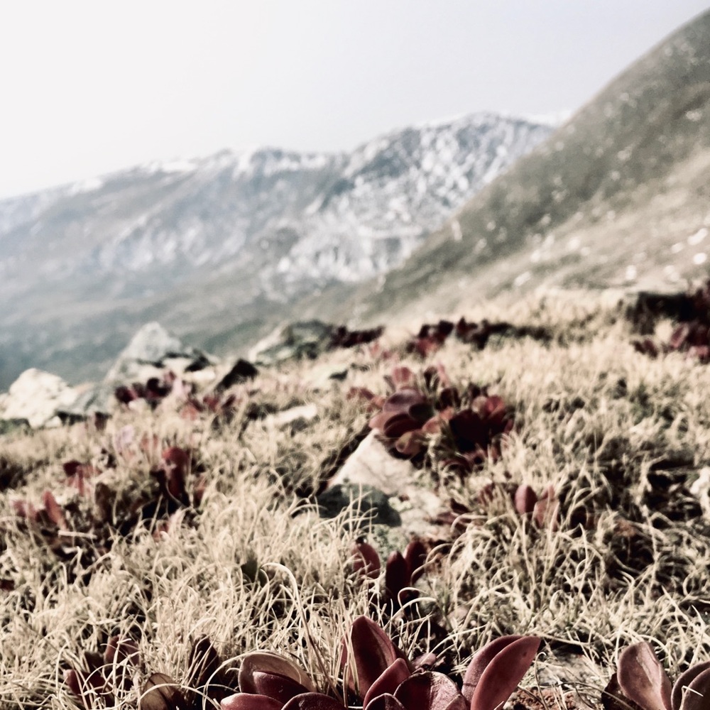 Meet your Posher, Paris